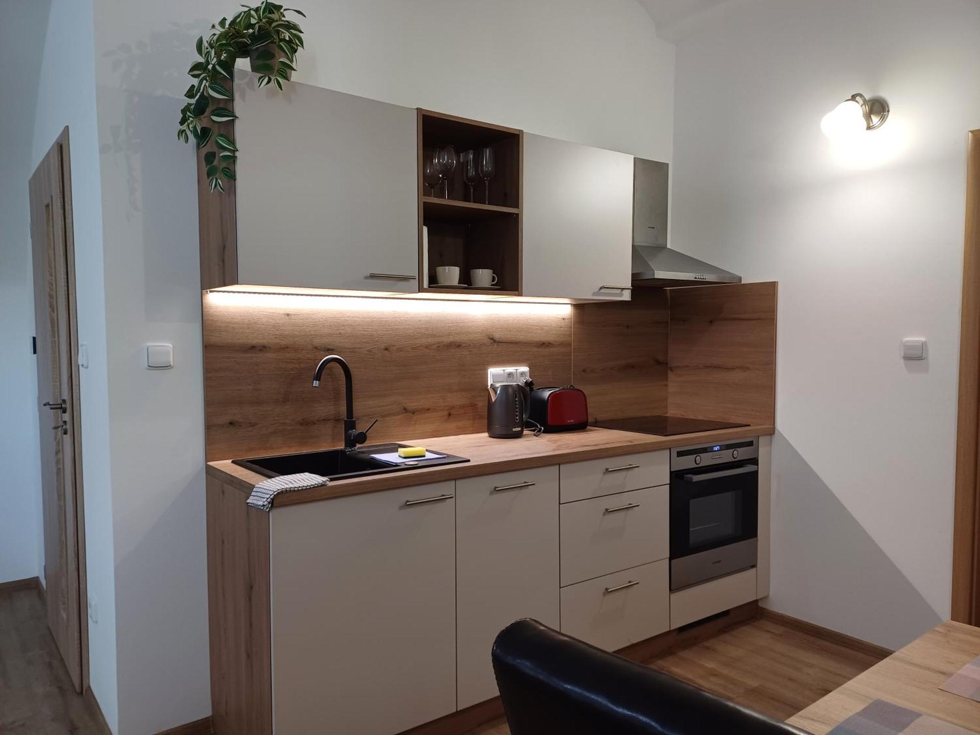 Apartamento Martinuv Dvur Plzeň Exterior foto